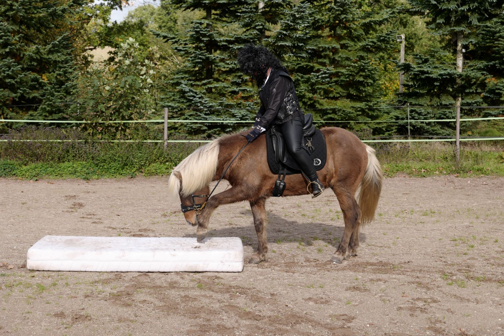 5. Nordwindrallye